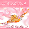 Happy Raksha Bandhan